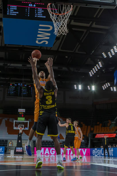 本队的外援 本队的外援